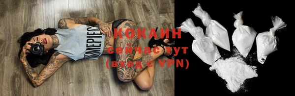 индика Армянск