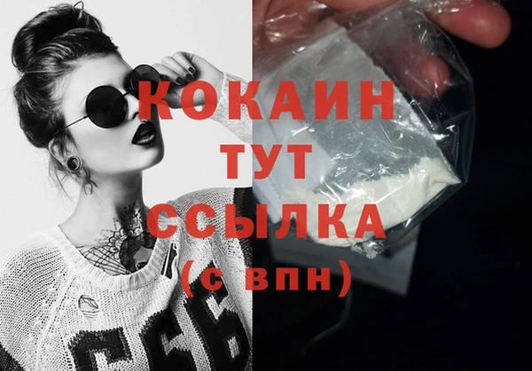 индика Армянск