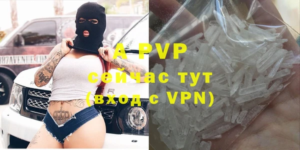 индика Армянск