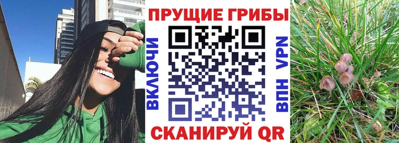 наркошоп  Когалым  Галлюциногенные грибы MAGIC MUSHROOMS 