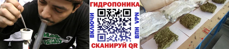 где купить   ОМГ ОМГ   Канабис SATIVA & INDICA  Когалым 